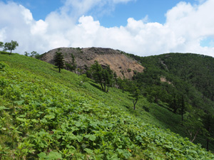 前白根山へは緩やかなアップダウン