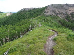 前白根山へ続く稜線歩き