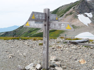 白馬岳登山　白馬大雪渓を登り稜線へ到着