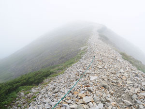 白馬岳から小蓮華山～白馬大池へ