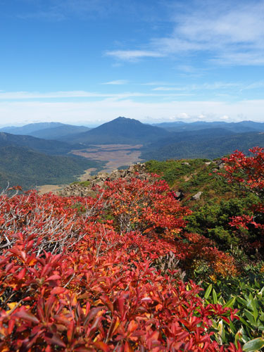 秋の至仏山の紅葉と青空
