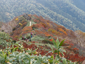 群馬　谷川岳登山　天神尾根　日差しが無く紅葉もイマイチ