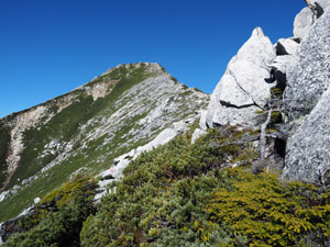 常念岳からの急傾斜の下りから山頂を見る