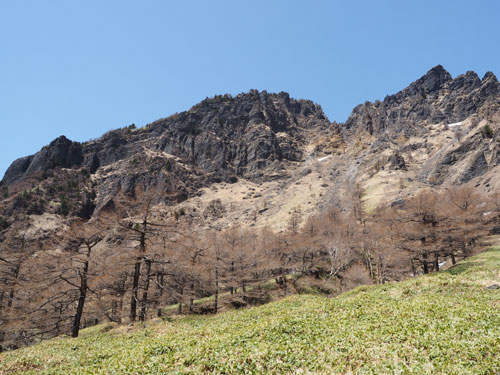 浅間山登山　カモシカ平