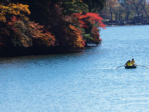 湯ノ湖の対岸に美しい紅葉