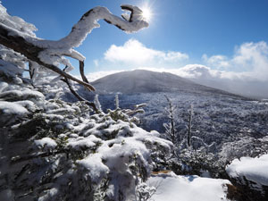 冬の北八ヶ岳・北横岳登山　縞枯山と坪庭を見下ろす