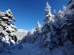 積雪は少なめ　それでも綺麗な雪景色