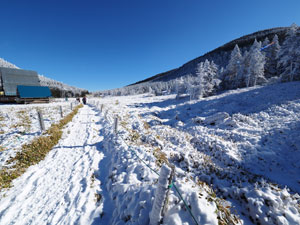 北八ヶ岳スノートレッキング　縞枯山荘と雪景色
