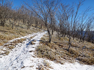 尾根から駒ヶ岳に続く緩やかな登山道