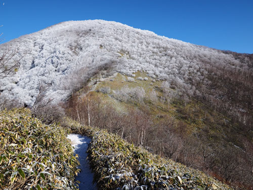 赤城山・黒檜山の山頂付近は霧氷でいっぱい