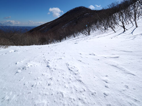 赤城山・駒ヶ岳　黒檜山～駒ヶ岳の鞍部より