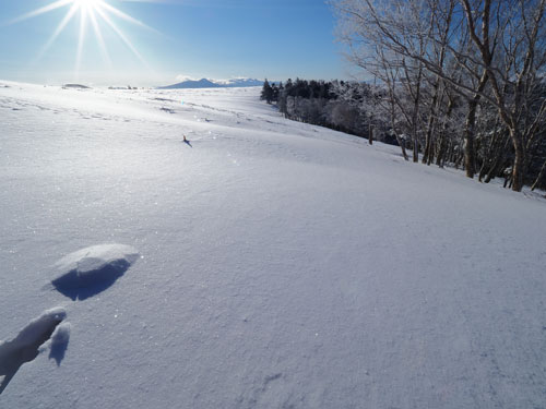 美ヶ原・鹿伏山から王ヶ頭へ