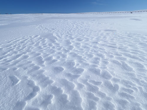美ヶ原の広大な雪原