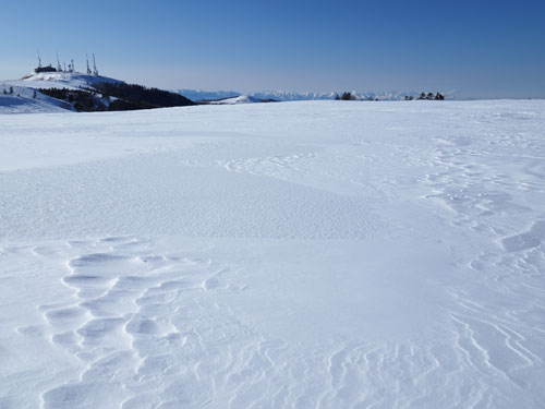 王ヶ頭と北アルプス　美ヶ原の雪原からの景色