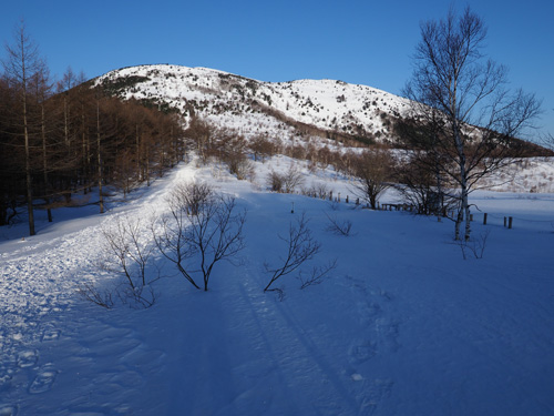 湯ノ丸山の山容