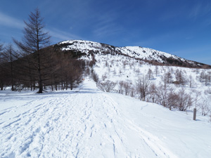 長野県の上田市・東御市の北部と群馬県の県境にある山　湯ノ丸山登山　スノートレッキング