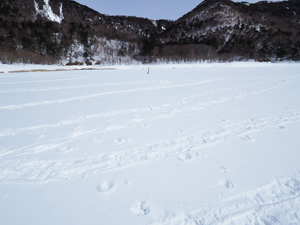 栃木県の奥日光の刈込湖　標高１６００ｍの山の中にある湖