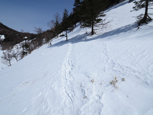 涸沼から山王峠への登り　トラバース気味に登る