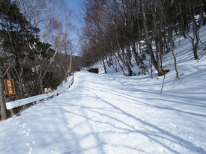 奥日光　山王林道まで登った