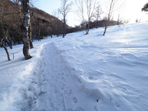 足跡もたっぷりあり雪道ができている