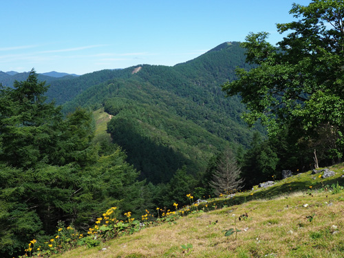 雲取山への稜線　七ツ石山山頂より