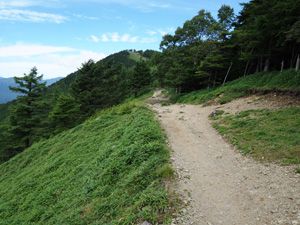 雲取山山頂　見えてくるとまもなく