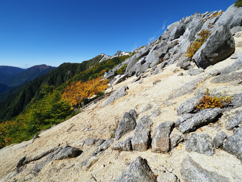 遠くに鳳凰三山の観音岳