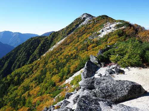 鳳凰三山　観音岳斜面の紅葉