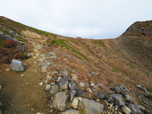 朝日岳の紅葉を眺めながら峰の茶屋跡を目指す