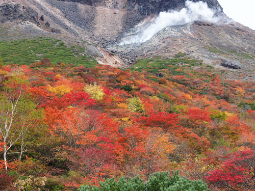 那須連山　茶臼岳中腹の紅葉　秋真っ盛り