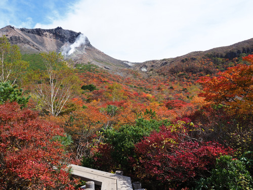 赤、黄、橙に彩りされた茶臼岳の紅葉