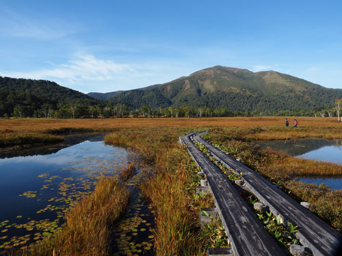 草紅葉の向こうに尾瀬を代表する山　至仏山