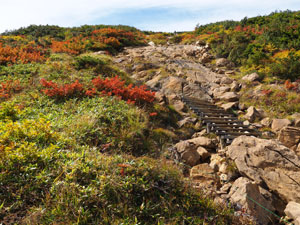 至仏山の登山道　木の階段が多く続く