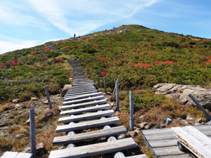 至仏山の登山道　階段が多い　