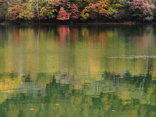 秋の奥日光　湯ノ湖　水面に映る紅葉と緑がきれい