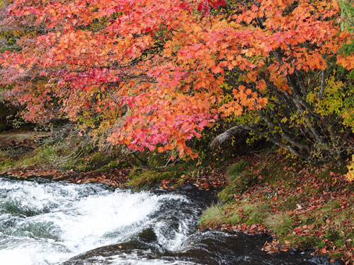 奥日光　竜頭の滝　紅葉がきれい