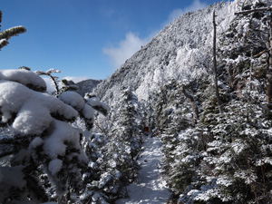 長野県　冬の北横岳登山　今年は雪が少ない