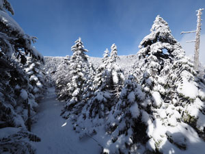 前方に北横岳ヒュッテ　針葉樹の美しい雪景色
