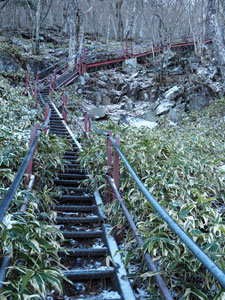 駒ヶ岳の尾根に続く急な階段