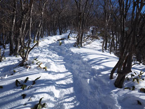 赤城山・黒檜山の登山道　圧雪の急斜面