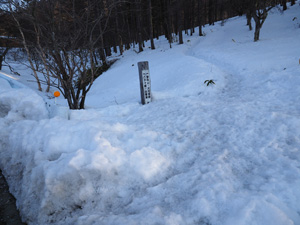 北八ヶ岳の蓼科山登山口　スノートレッキングのスタート