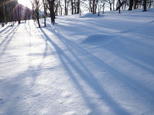 蓼科山登山　朝日に照らされての歩き