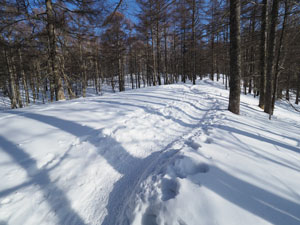 蓼科山登山　雪道はしっかり踏み固められ