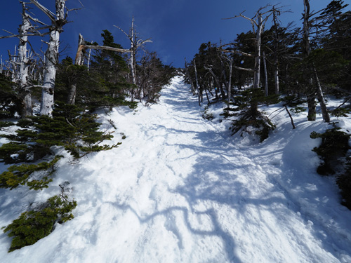 蓼科山山頂直下は急斜面　