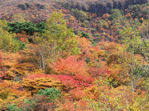 那須岳　茶臼岳の紅葉は見頃を迎えている