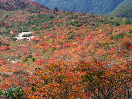 那須岳の紅葉　きれい！